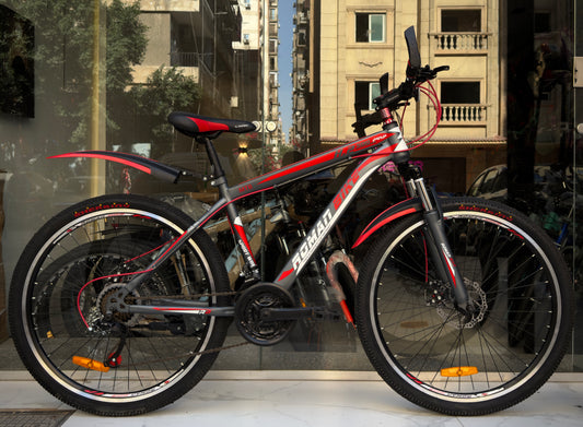 ROMAN BIKE 24 SPEED