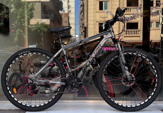 29-BicyStar-Ha 04