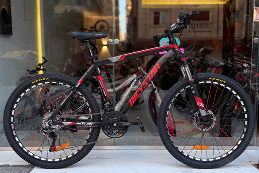 26-BicyStar-Ha 04